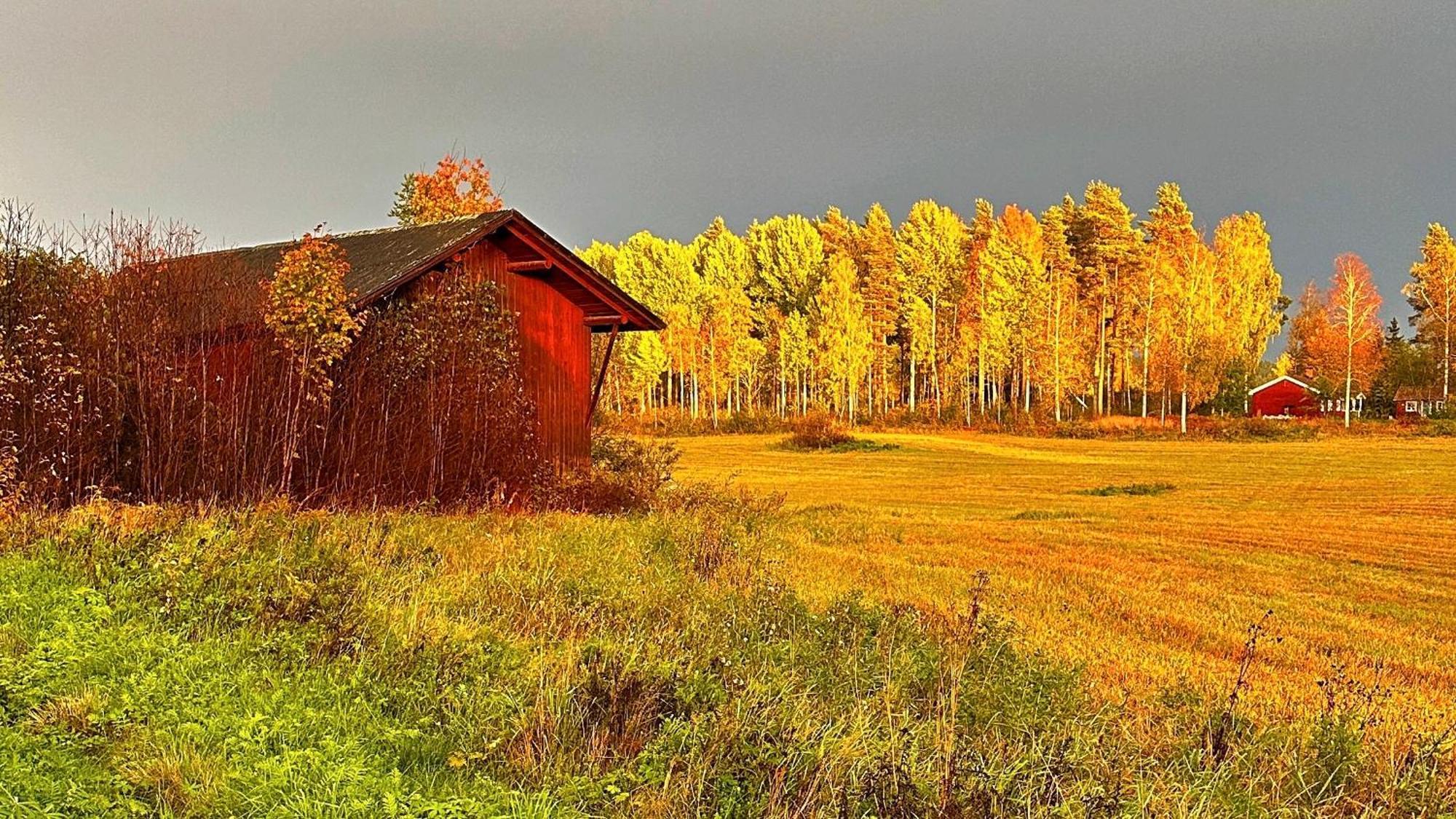 Kullerbacka Gaesthus Hotel Segersta Kültér fotó