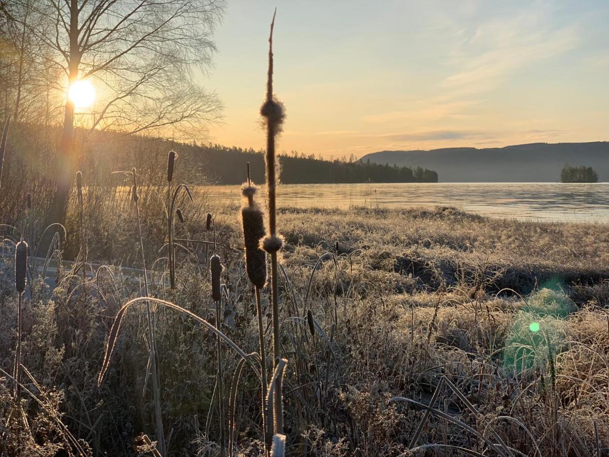 Kullerbacka Gaesthus Hotel Segersta Kültér fotó